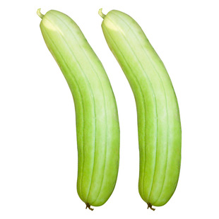 梢瓜爽口花龙菜瓜种子青皮脆瓜花皮甜瓜四季子春季烧瓜蔬菜种籽子