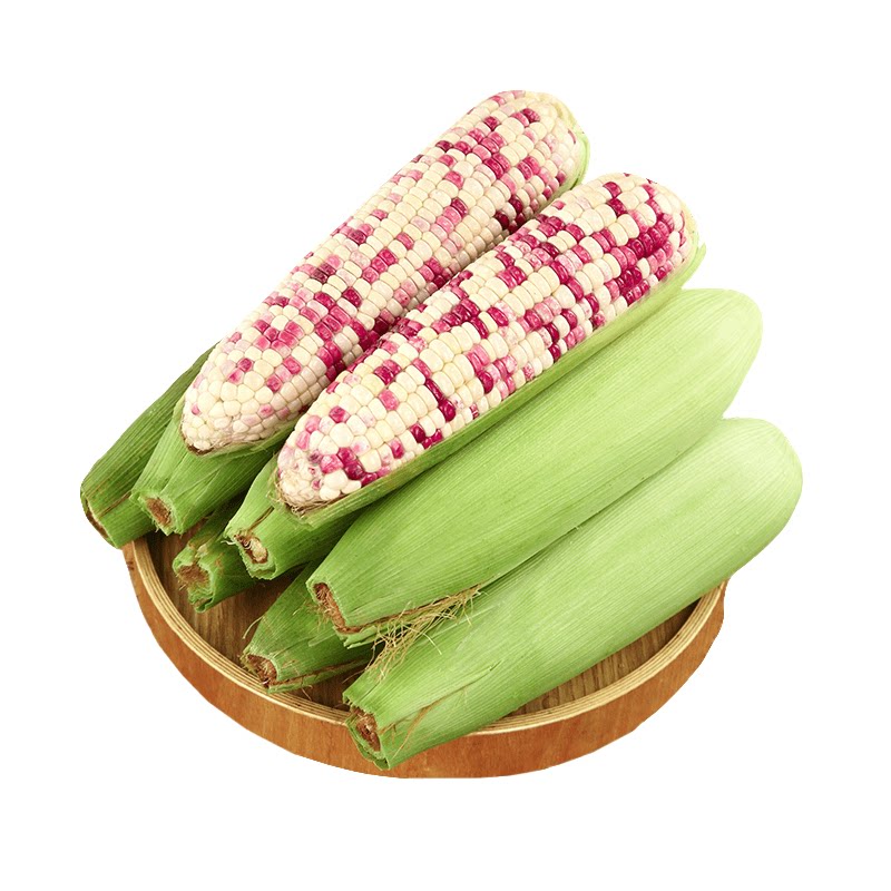 当季花糯玉米!新鲜采摘!美味