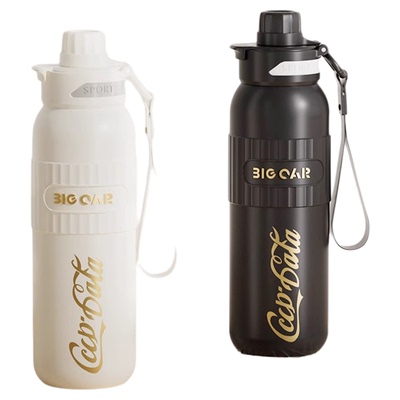 bigcar车载吸管杯户外便携水杯