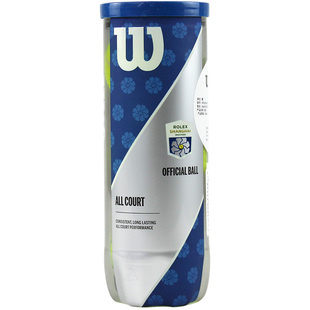 Wilson威尔胜正品回弹网球法网美网大师赛专业比赛初学练习训练球