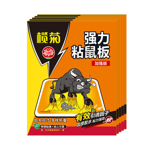 榄菊粘鼠板强力胶粘大老鼠家用老鼠贴加大加厚加粘灭捉抓捕老鼠