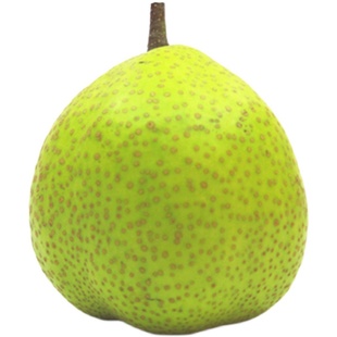 莱阳梨正宗莱阳慈梨茌梨山东烟台特产特大果整箱礼盒梨子新鲜水果