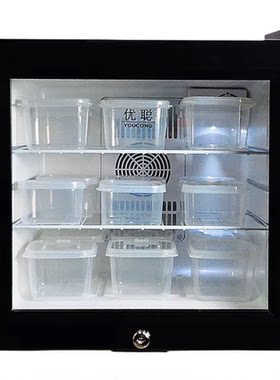 食品留样柜小型冷藏展示柜保鲜柜