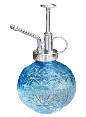 沃施小型玻璃喷水壶浇花家用