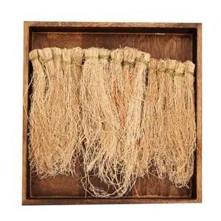 正宗养肝草野生龙须草广东特产全根丝线根煲汤料护肝养肝汤养肝茶