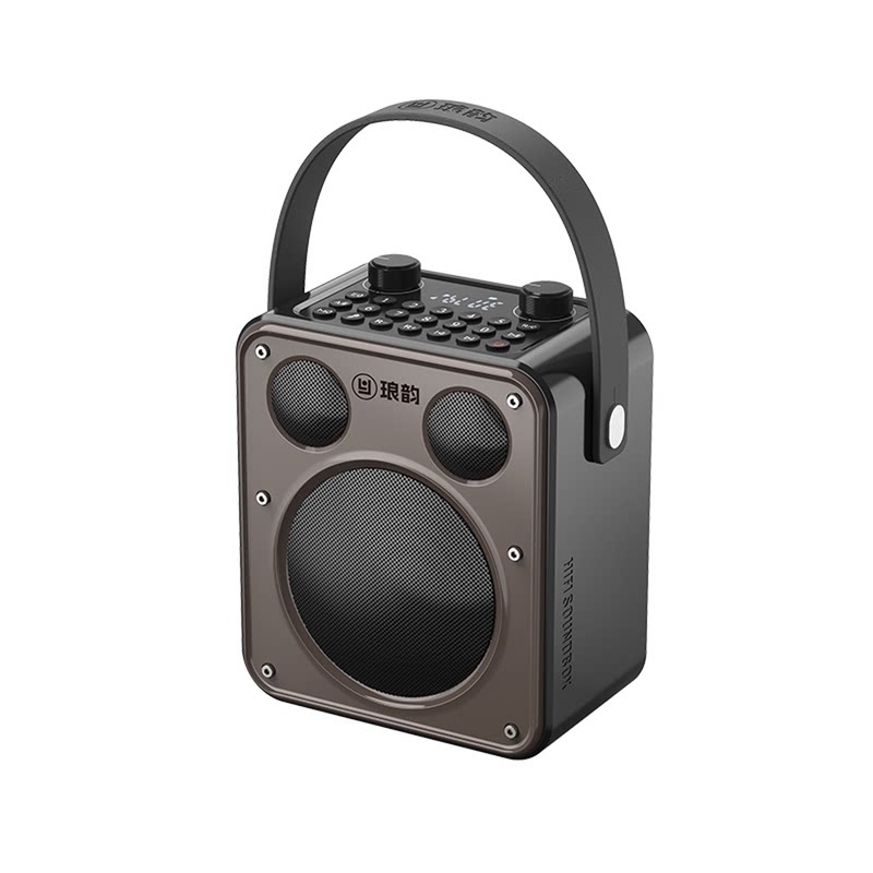 正品琅韵D92手提户外蓝牙音箱乐器扩音器K歌大音量广场低音炮音响
