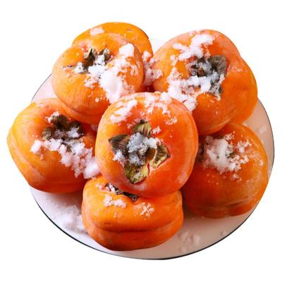 东北冻柿子磨盘大柿子