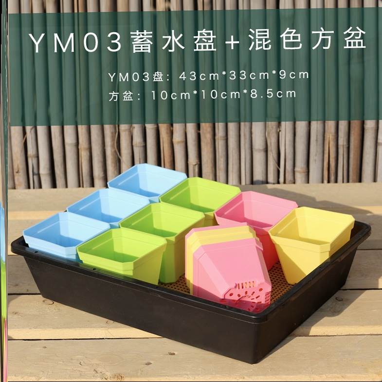 -扦插育苗专用盆育苗盒带盖月季园艺叶插穴盘播种新神器营养杯装