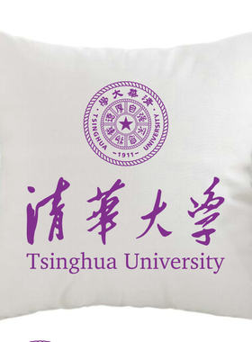 大学纪念品礼品抱枕北大清华靠垫