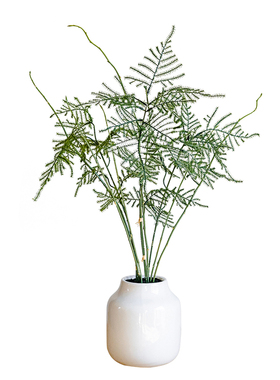 仿真绿植文竹盆栽摆件假植物盆景