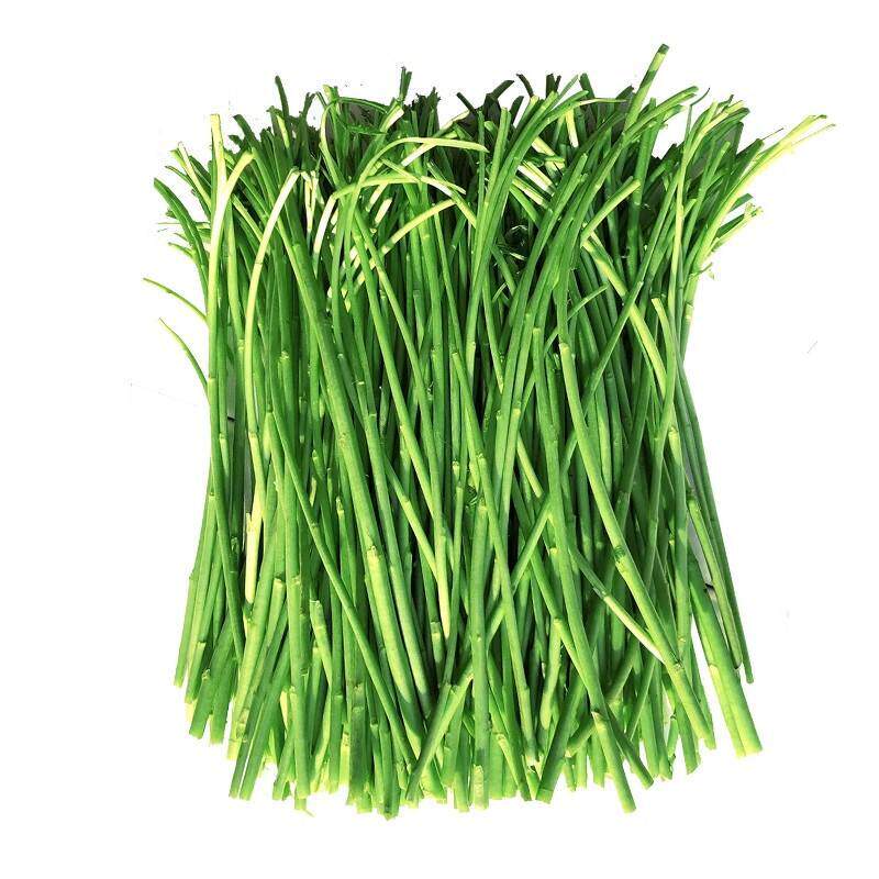 原产地现摘新鲜蔬菜去叶去老根净菜藜蒿芦蒿杆子柳蒿芽