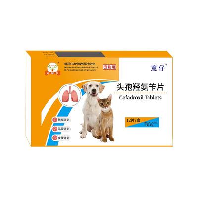 头孢羟氨苄片犬猫用消炎药感冒