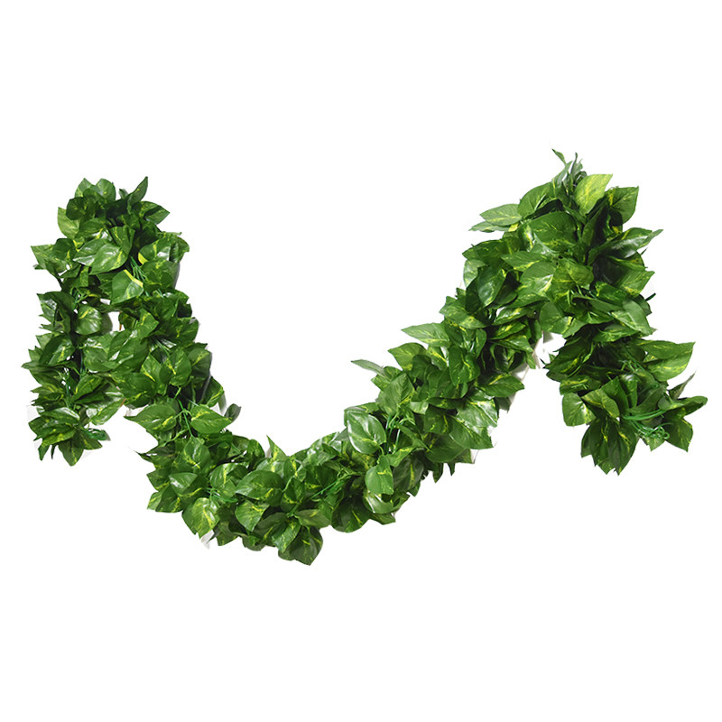 天天特价绿植物壁挂暖气葡萄叶