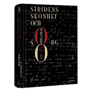 【新思文库】美丽与哀愁：第一次世界大战个人史 皮特恩格伦 著  战争文学 非虚构文学 战争史书 中信出版社图书