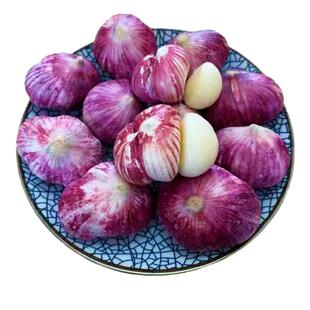 农家正宗紫皮三瓣蒜新大蒜鲜蒜现挖湿蒜新鲜三丫蒜红皮蒜当季蔬菜