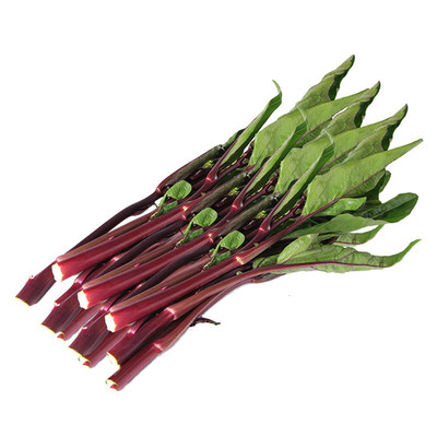 打霜红菜苔新鲜现摘湖北特产