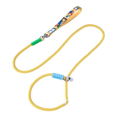 狗狗绳子防爆冲P链遛狗牵引绳防挣脱狗链子柯基中大型犬拴狗绳p绳