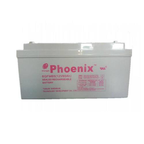 phoenix蓄电池6GFM6512V65AH机房UPS电源配套消防照明EPS直流屏