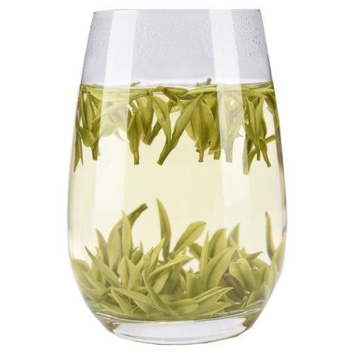 亏本试喝35克正宗2025年安吉黄金芽白茶茶叶新茶散装黄金牙绿茶