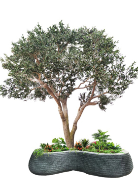 海虹景观假绿植橄榄树仿真植物