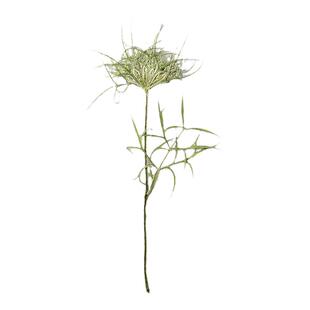阿米芹带枝植物标本压花真干花押花活动书签材料包滴胶手机壳相框