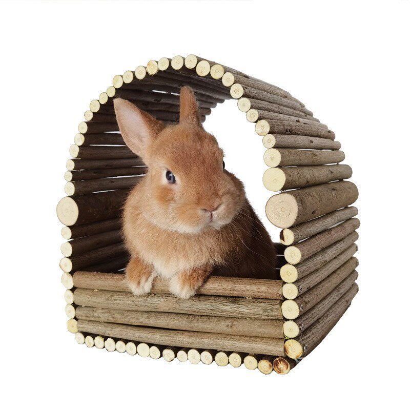 兔子窝木屋四季通用荷兰猪