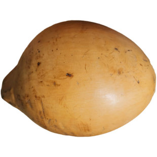 海南新鲜黄金椰子4-6-9个装带皮椰青孕妇特产水果红椰金椰补羊水