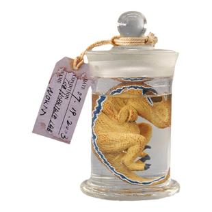 TNG正版 侏罗纪恐龙宝宝 胚胎浸泡模型迅猛龙布鲁培育孵化实验室