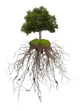 悬空仿真树展厅酒店装饰售楼处