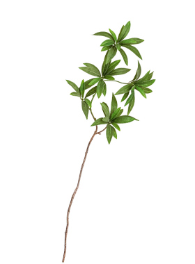 水石榕仿生绿植仿真花假花摆设
