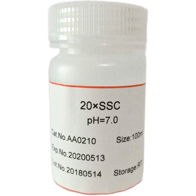 2×SYBR Green PCR Mastermix