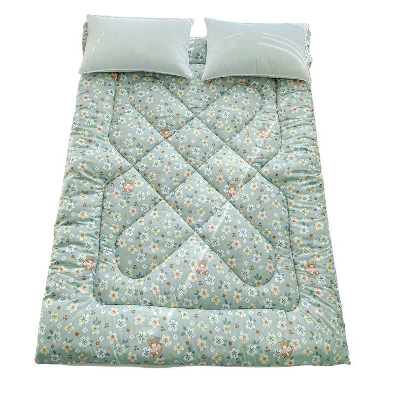 床垫家用卧室软垫床褥垫加厚褥子垫被铺底宿舍单人租房专用垫子