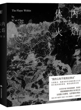体内火焰 陈思安 著 短篇小说集/故事集文学 新华书店正版图书籍 当代世界出版社