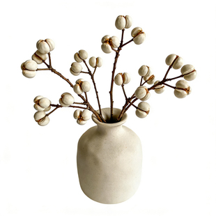 乌桕果干花新中式小白果花束居家装饰禅意插花摆件花材猎奇野花