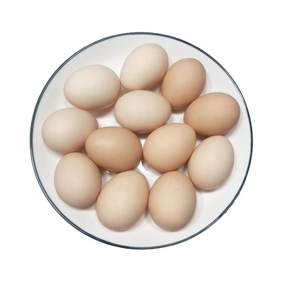 农村散养土鸡蛋当天现捡