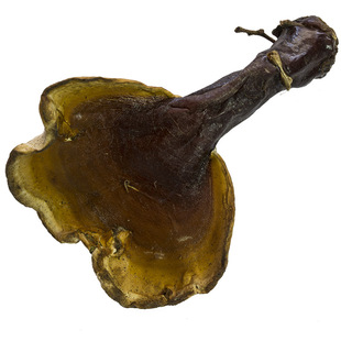 藏家收真品正宗西藏野生白芯灵芝片赤灵芝粉紫灵芝养生茶赤芝紫芝