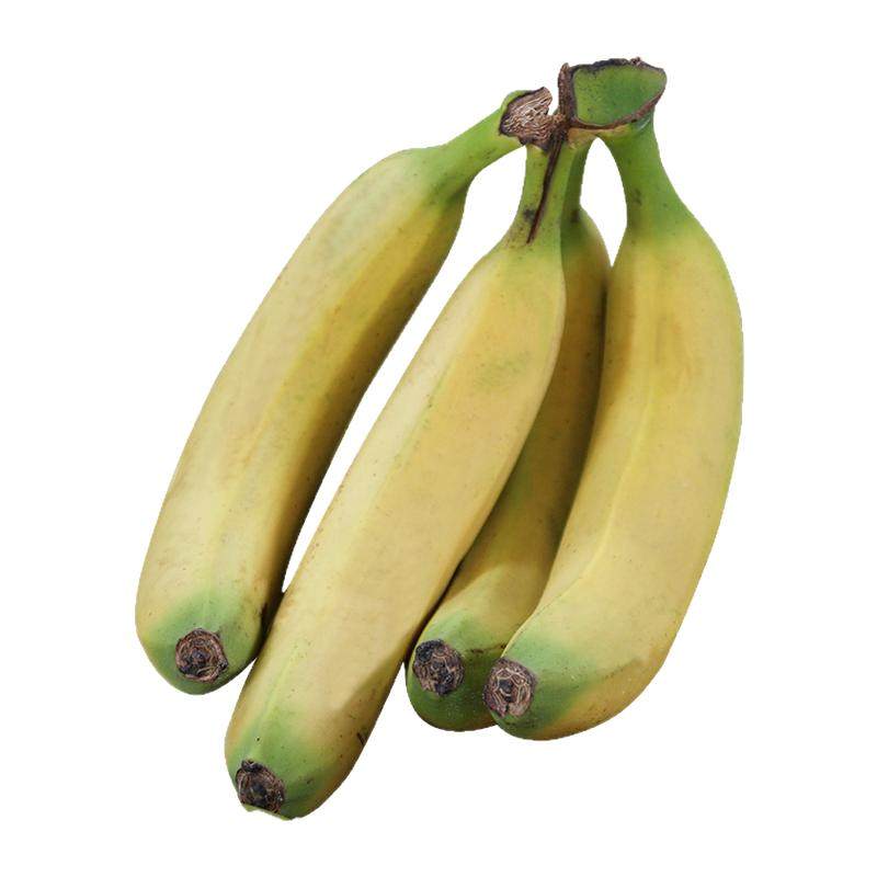 云南自然成熟banana新鲜香蕉水果孕妇放心食用芝麻香蕉顺丰包邮