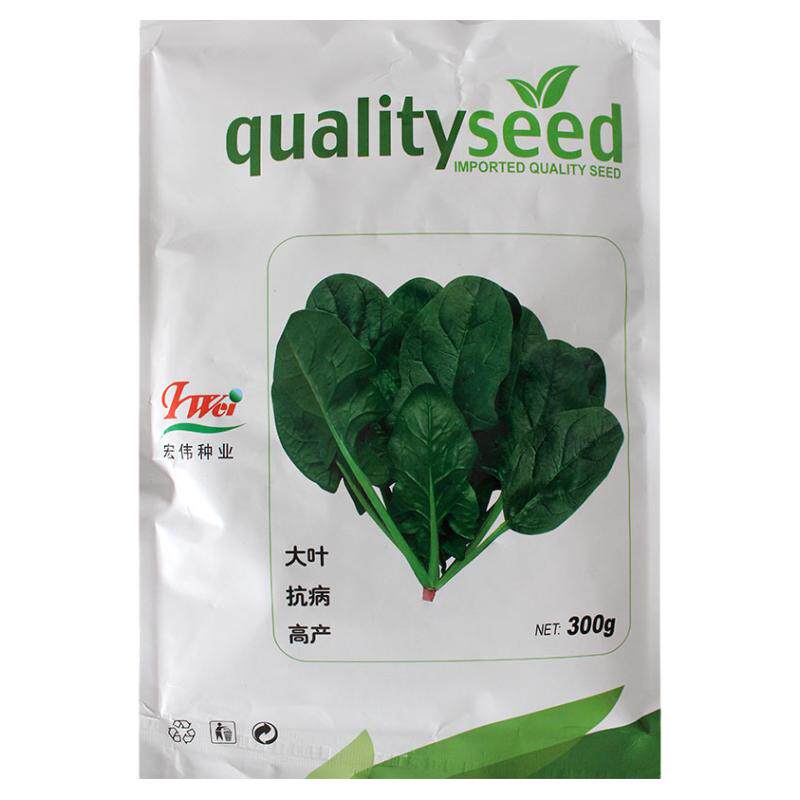 波菲特耐寒王菠菜种子大叶种籽高产春秋冬季菜孑蔬菜秋冬波菜籽种