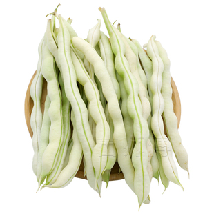 摘不败白不老豆角九粒白芸豆种子九粒红四季豆种籽架豆蔬菜苗孑