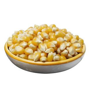 永祥龙东北小玉米粒爆米花专用原料家用商用球形蝴蝶型爆裂玉米粒