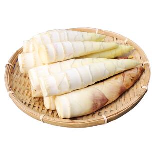 临安天目山春笋农家新鲜蔬菜现挖雷笋竹笋大笋5斤8-12根浙江鲜笋