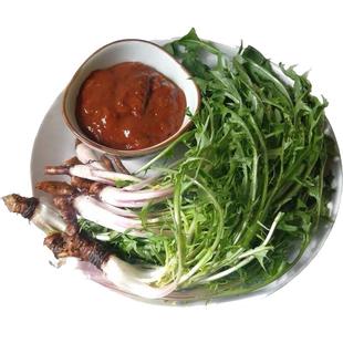 新鲜蒲公英野菜现挖山野菜婆婆丁花嫩叶草纯天然带根苦菜东北蘸酱