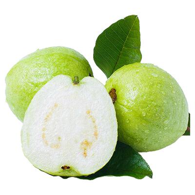 颜小荭芭乐红心白心芭乐组合