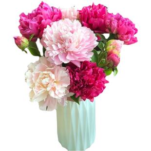 山东芍药鲜花牡丹重瓣花束云南鲜切花玫瑰百合花卉基地直发母亲节