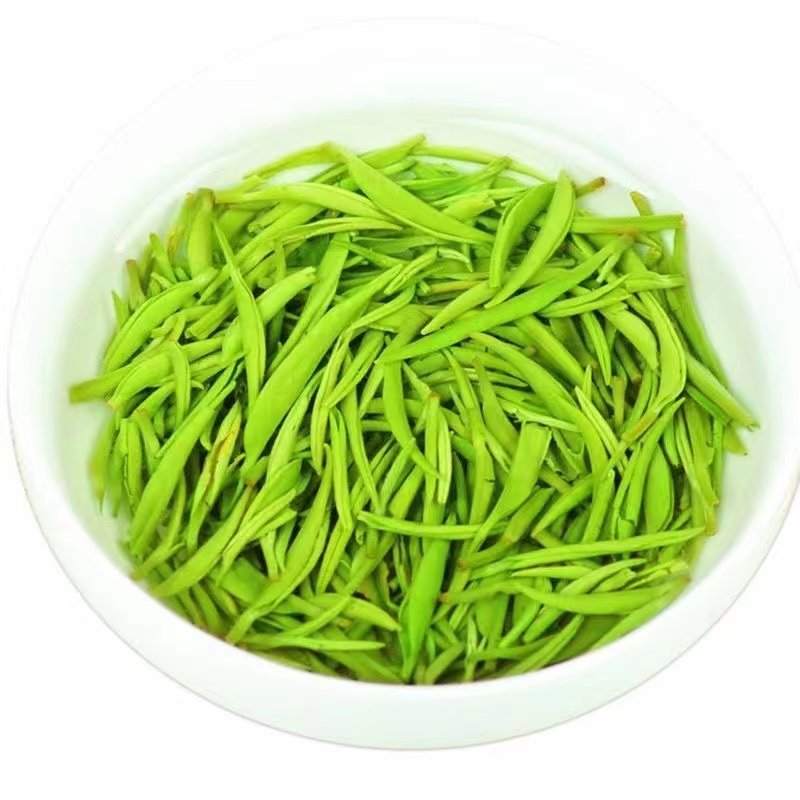 绿茶信阳毛尖特级嫩芽
