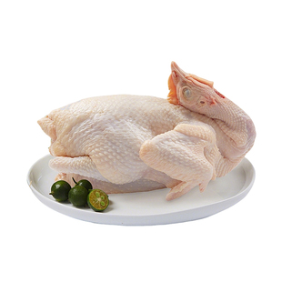 童子鸡土鸡农家未打鸣仔公鸡走地鸡白切鸡新鲜现杀小公鸡整只顺丰