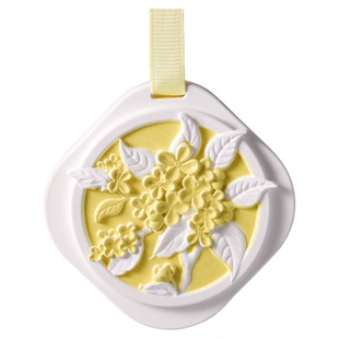 衣柜香薰蜡片香片衣柜香包除味神器持久清香衣橱香囊车载挂件香氛