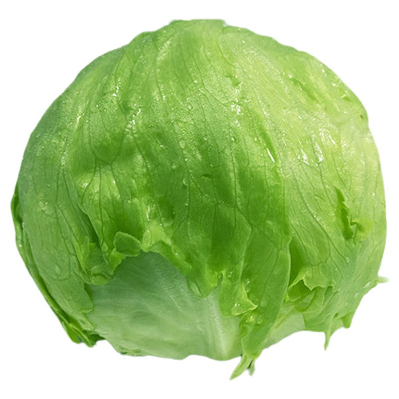【廊下滋味】球生菜1-5斤装 汉堡生菜轻食沙拉煎饼食材新鲜蔬菜