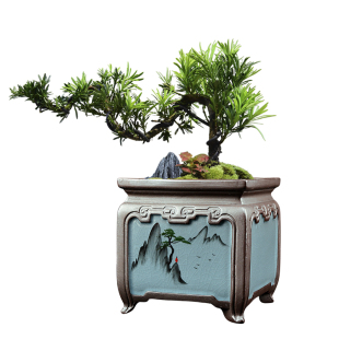 蝴蝶兰专用花盆紫砂陶瓷容器家用复古清仓简约多肉兰花文竹绿植盆