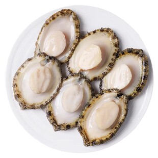 鲍鱼肉鲜活冷冻新鲜特大去壳小鲍鱼捞饭海鲜水产鱼商用官方旗舰店